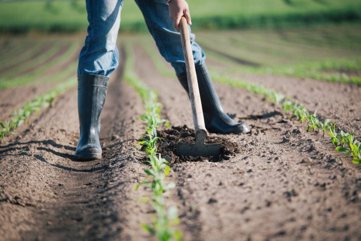 Agricultura